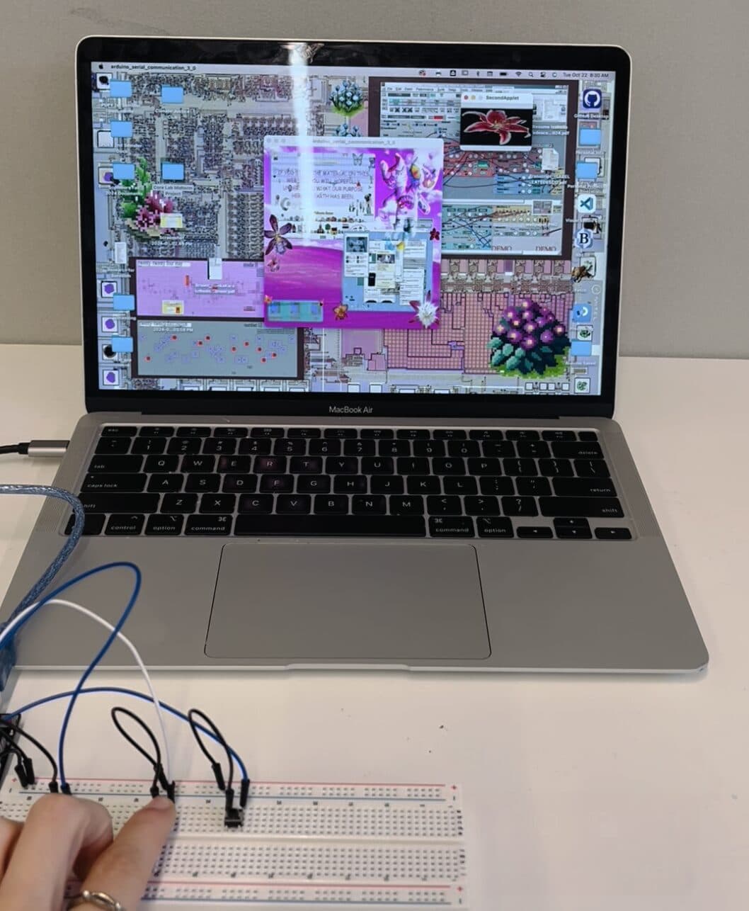 internet maximalism